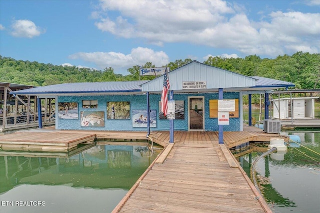 645 Blue Springs Rd, Speedwell, TN 37870 - dock area with central AC and boat lift