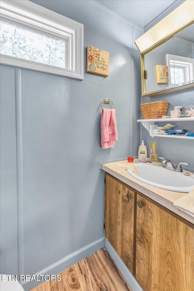 645 Blue Springs Rd, Speedwell, TN 37870 - bathroom featuring wood finished floors, vanity, healthy amount of natural light, and baseboards