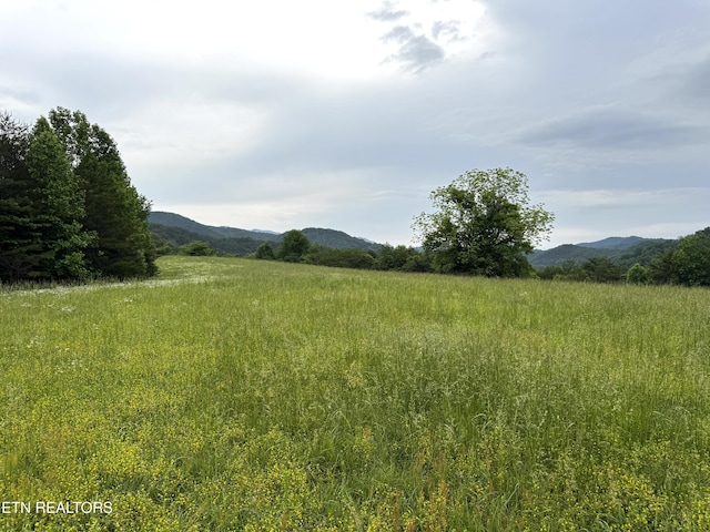 Licklog Hollow Rd, Sevierville, TN 37876