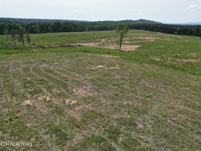 0 Thomas Springs Rd, Crossville, TN 38572 - photo 4