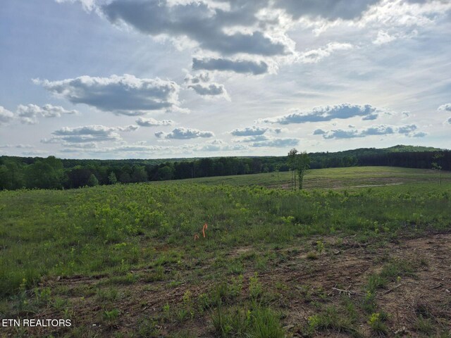 0 Thomas Springs Rd, Crossville, TN 38572 - photo 12