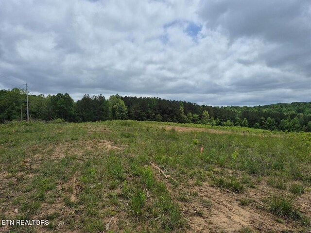 0 Thomas Springs Rd, Crossville, TN 38572 - photo 13