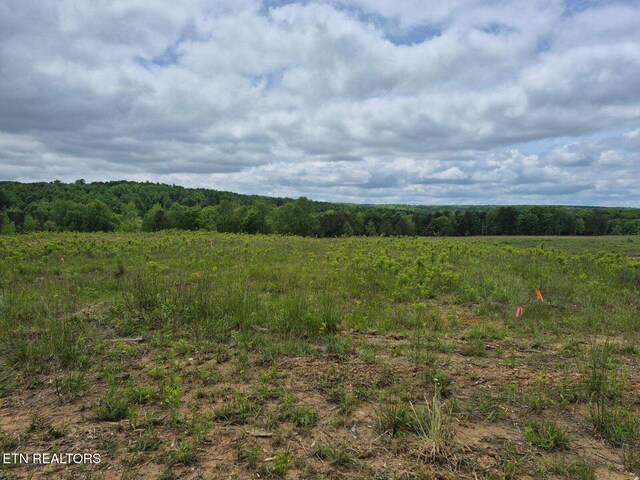 0 Thomas Springs Rd, Crossville, TN 38572 - photo 3