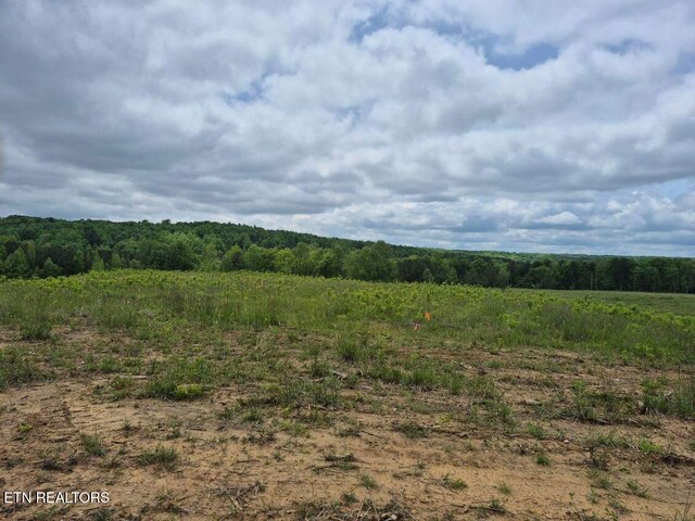 0 Thomas Springs Rd, Crossville, TN 38572 - photo 6