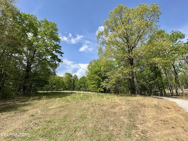 Christenson Rd, Deer Lodge, TN 37726