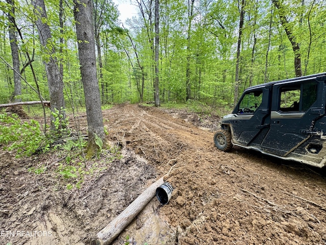 Christenson Rd, Deer Lodge, TN 37726