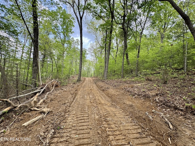 Christenson Rd, Deer Lodge, TN 37726
