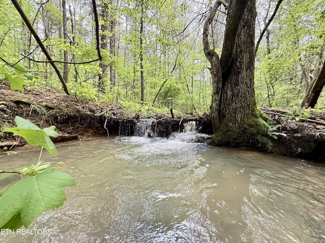 Christenson Rd, Deer Lodge, TN 37726