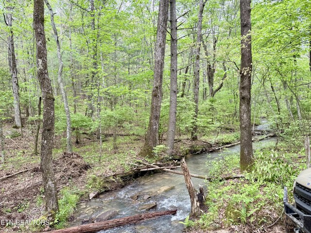 Christenson Rd, Deer Lodge, TN 37726
