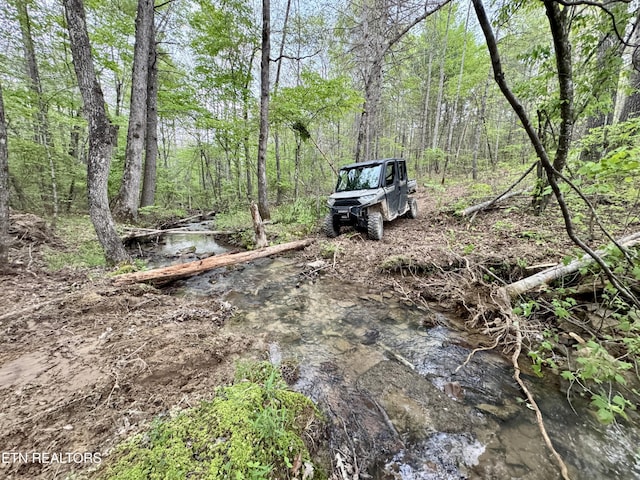 Christenson Rd, Deer Lodge, TN 37726