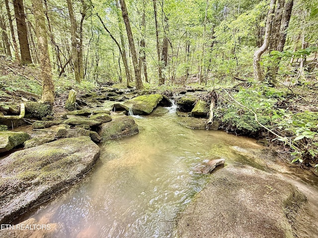 Christenson Rd, Deer Lodge, TN 37726