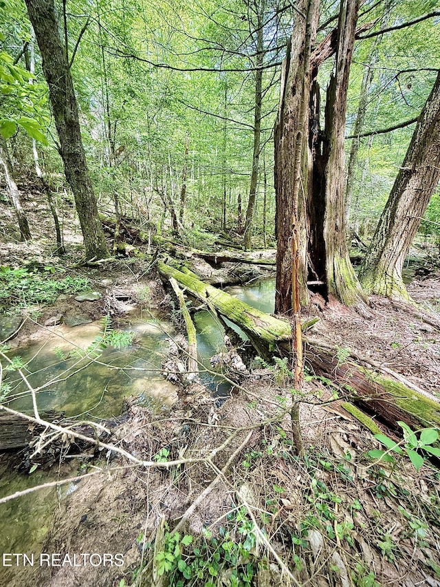 Christenson Rd, Deer Lodge, TN 37726