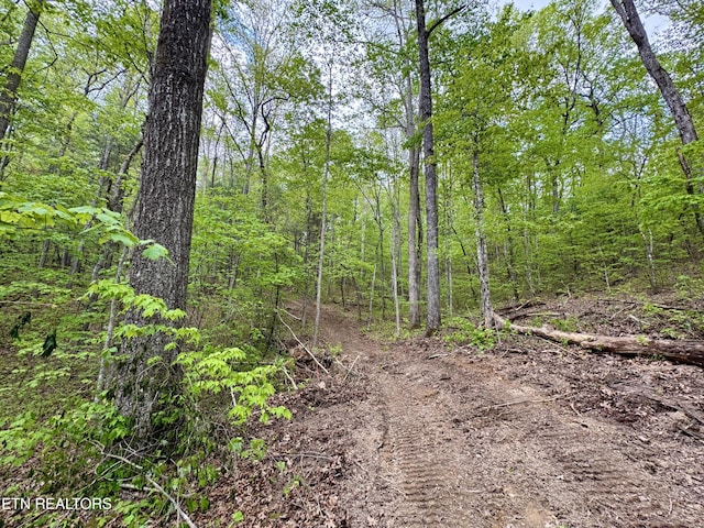 Christenson Rd, Deer Lodge, TN 37726
