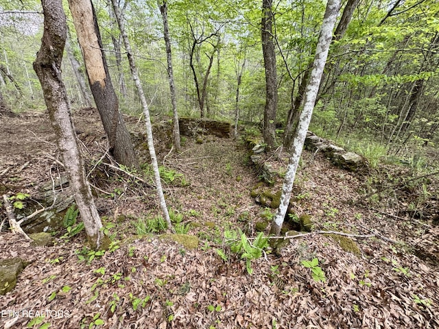 Christenson Rd, Deer Lodge, TN 37726