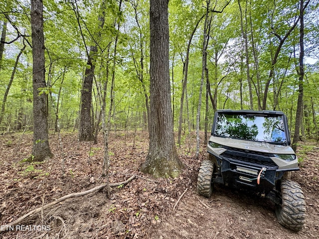 Christenson Rd, Deer Lodge, TN 37726