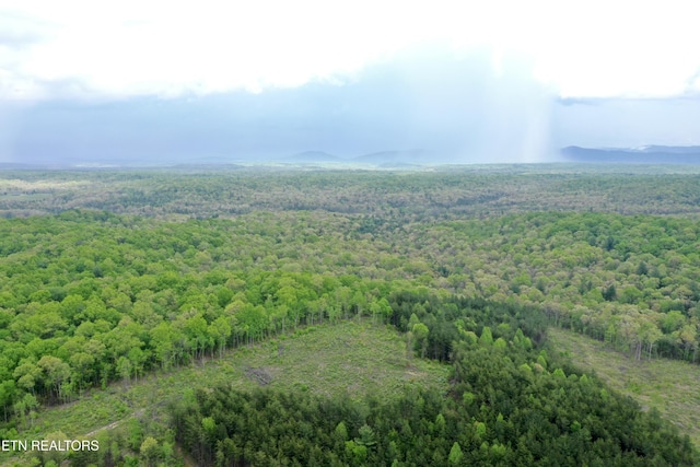 Christenson Rd, Deer Lodge, TN 37726