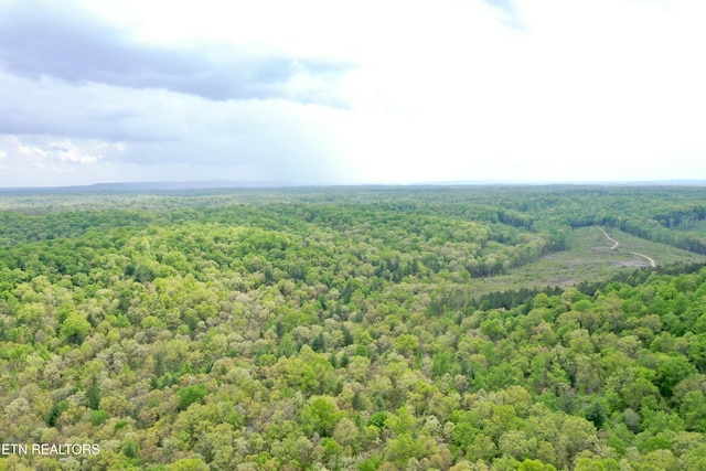 Christenson Rd, Deer Lodge, TN 37726
