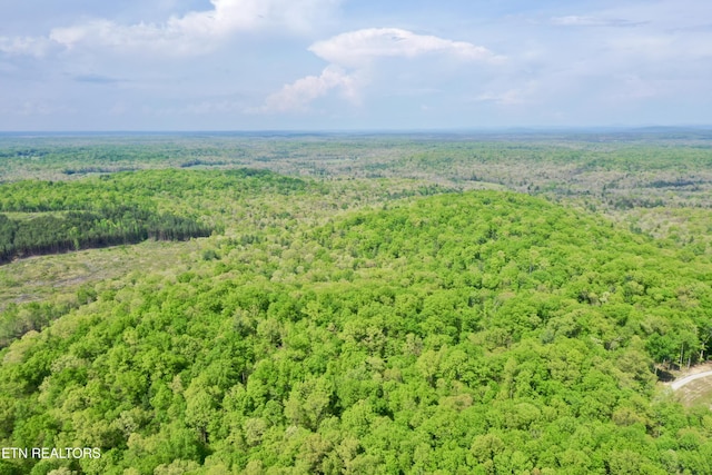 Christenson Rd, Deer Lodge, TN 37726