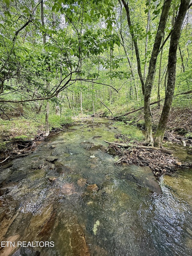 Christenson Rd, Deer Lodge, TN 37726