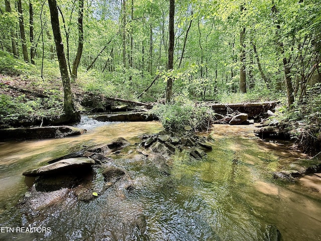 Christenson Rd, Deer Lodge, TN 37726