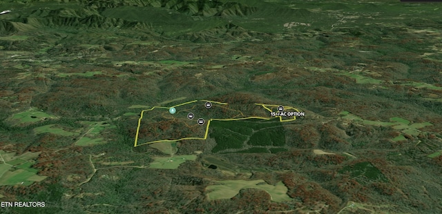 Christenson Rd, Deer Lodge, TN 37726