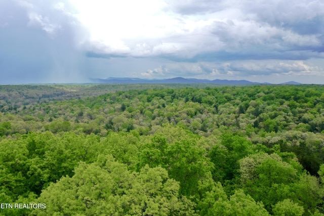 801 Christenson Rd, Deer Lodge, TN 37726