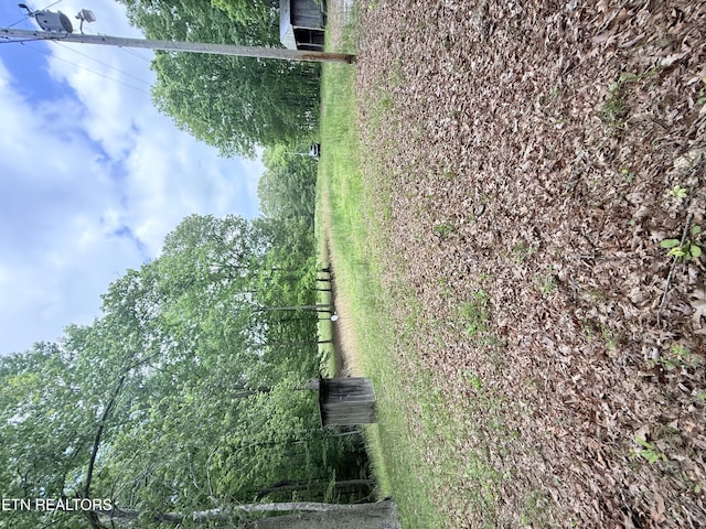 801 Christenson Rd, Deer Lodge, TN 37726