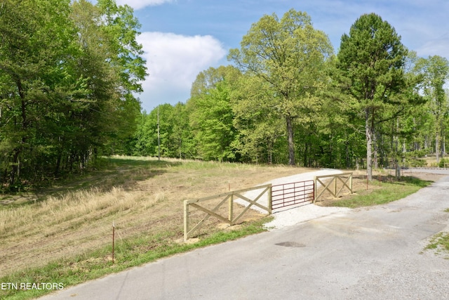 801 Christenson Rd, Deer Lodge, TN 37726