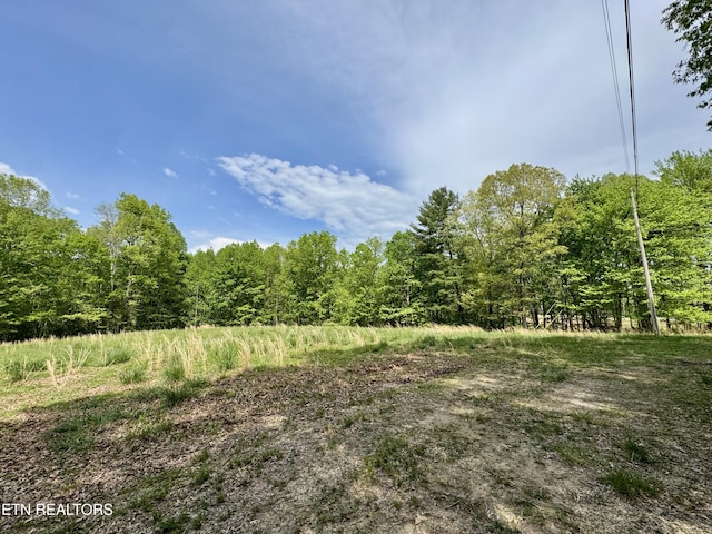 801 Christenson Rd, Deer Lodge, TN 37726