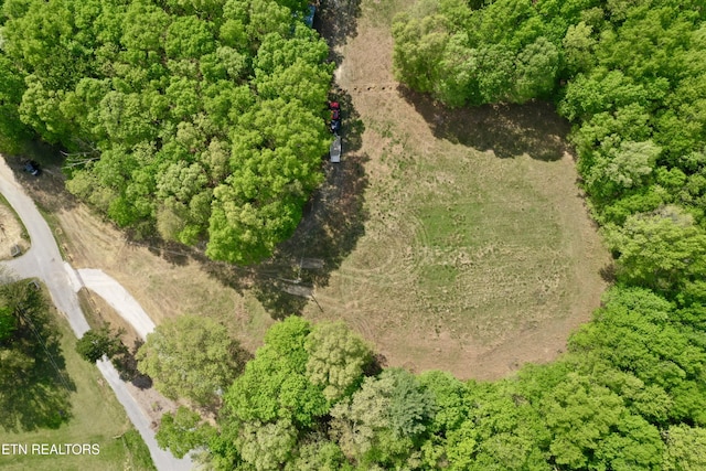 801 Christenson Rd, Deer Lodge, TN 37726