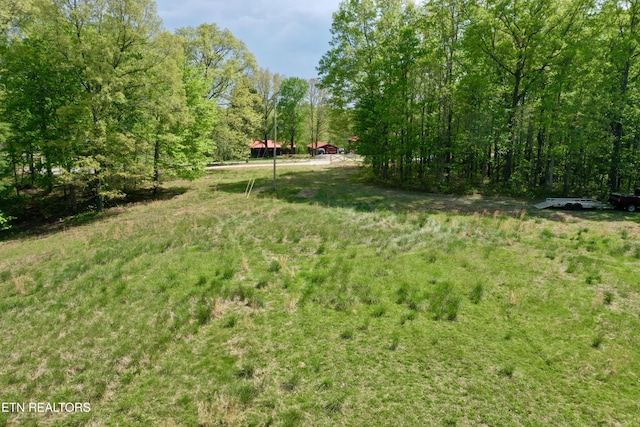801 Christenson Rd, Deer Lodge, TN 37726