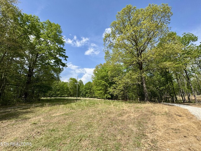 801 Christenson Rd, Deer Lodge, TN 37726