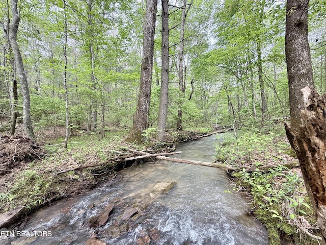 801 Christenson Rd, Deer Lodge, TN 37726