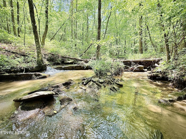 801 Christenson Rd, Deer Lodge, TN 37726