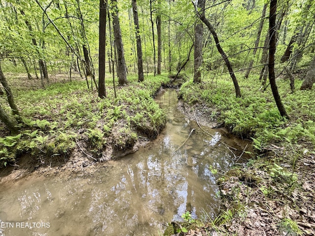 801 Christenson Rd, Deer Lodge, TN 37726