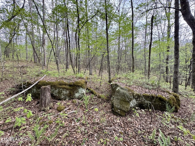 801 Christenson Rd, Deer Lodge, TN 37726