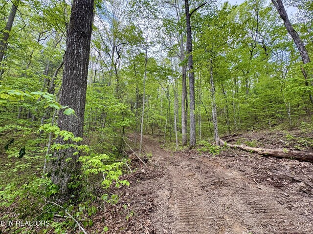 801 Christenson Rd, Deer Lodge, TN 37726