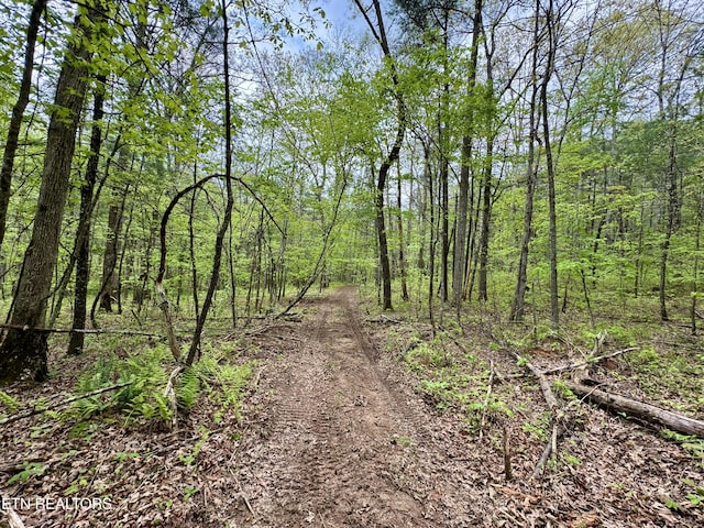 801 Christenson Rd, Deer Lodge, TN 37726
