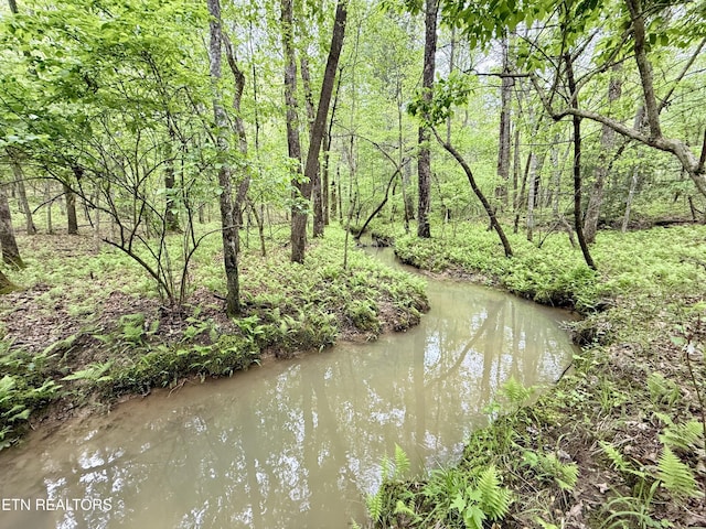 801 Christenson Rd, Deer Lodge, TN 37726