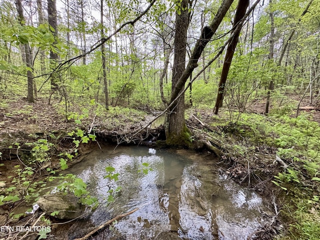 801 Christenson Rd, Deer Lodge, TN 37726