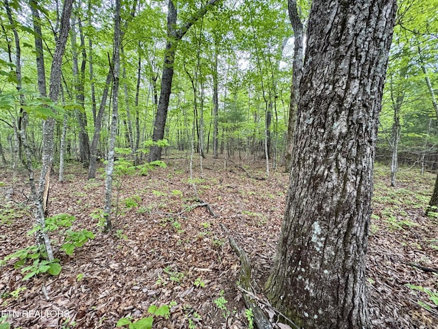 801 Christenson Rd, Deer Lodge, TN 37726