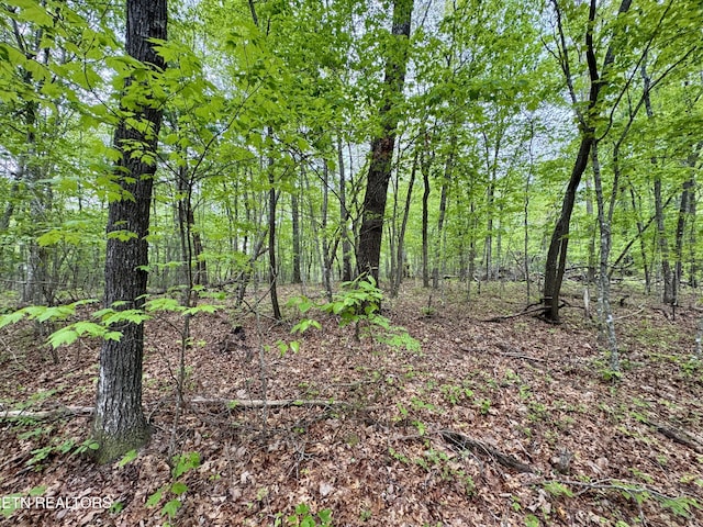 801 Christenson Rd, Deer Lodge, TN 37726