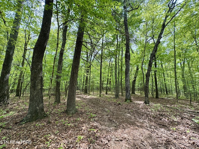 801 Christenson Rd, Deer Lodge, TN 37726