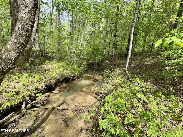 801 Christenson Rd, Deer Lodge, TN 37726