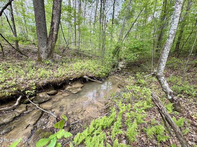 801 Christenson Rd, Deer Lodge, TN 37726