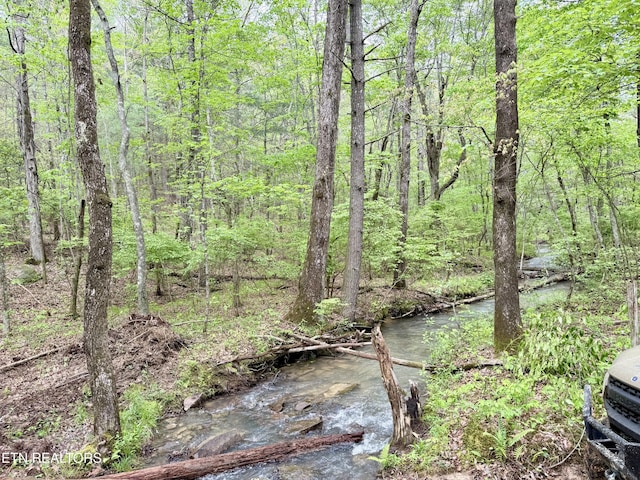 801 Christenson Rd, Deer Lodge, TN 37726