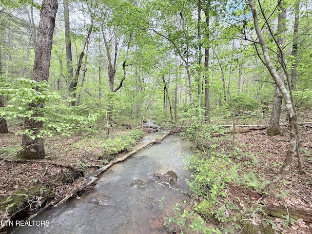 801 Christenson Rd, Deer Lodge, TN 37726
