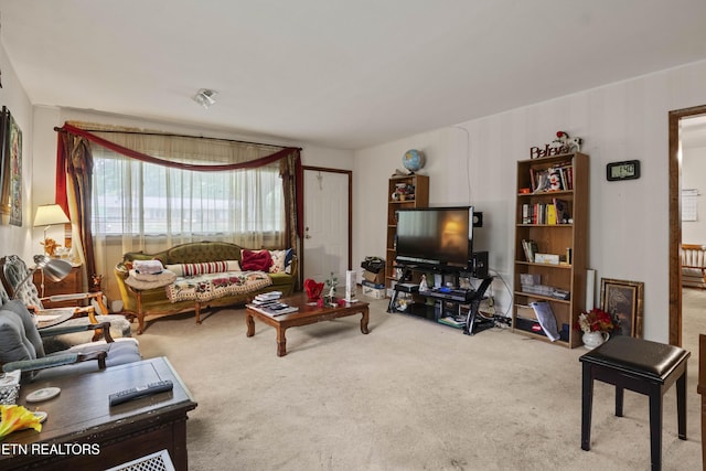 205 Newcastle Rd, Knoxville, TN 37909 - view of carpeted living area