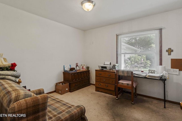 205 Newcastle Rd, Knoxville, TN 37909 - carpeted home office featuring baseboards