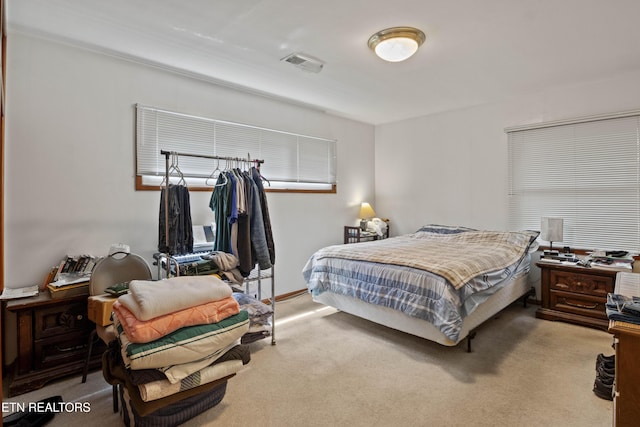 205 Newcastle Rd, Knoxville, TN 37909 - view of carpeted bedroom